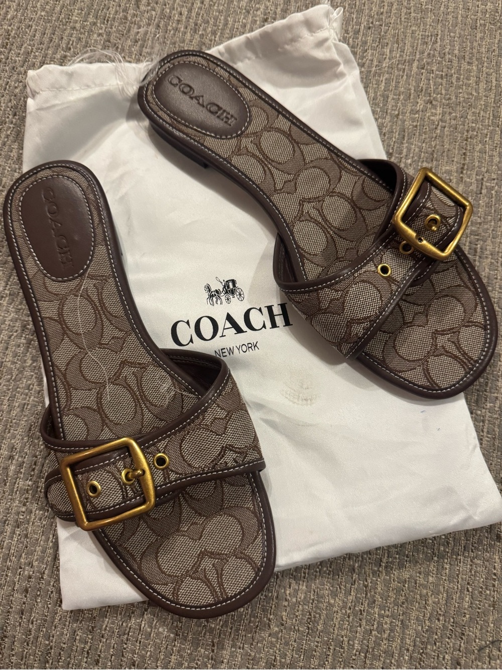 Coach buckle sandals